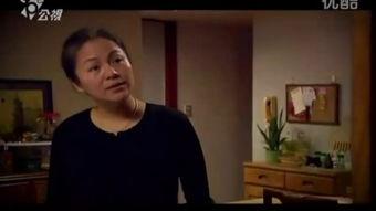 国产男男,新时代影视界的璀璨明珠